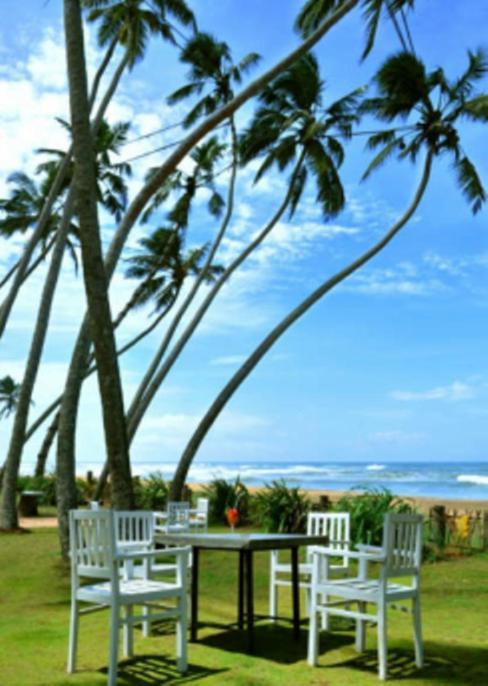 Saffron Beach Hotel Wadduwa Exterior photo